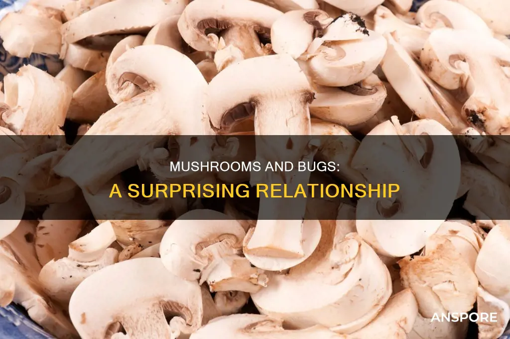 do mushrooms attract bugs