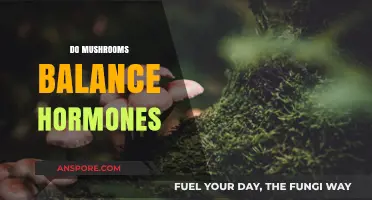 Mushrooms: Natural Hormone Balancers?