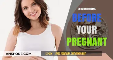 Pregnancy Planning: Mushroom Consumption and Precautions