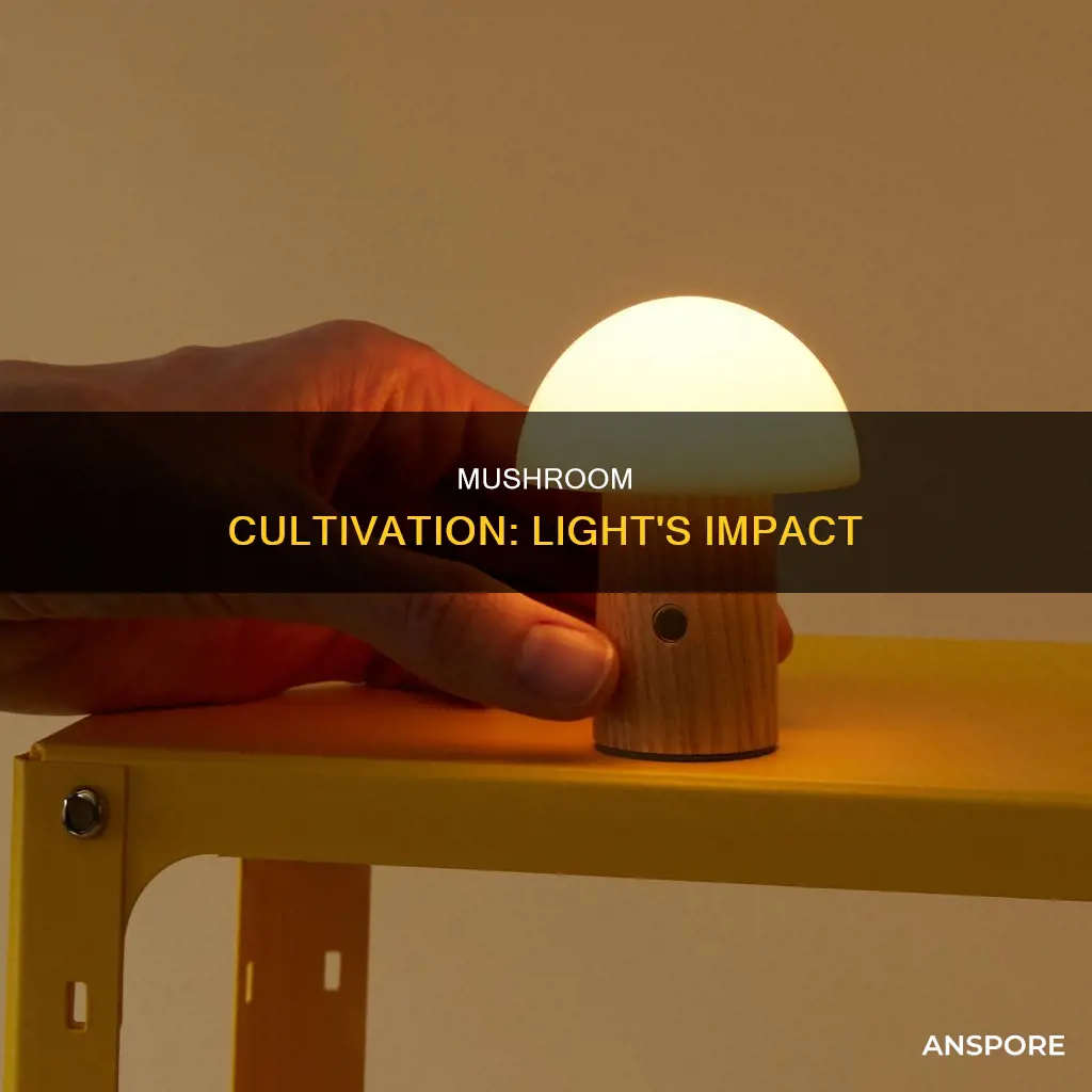 do mushrooms benefit from light