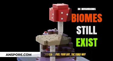 Mushroom Biomes: Do They Still Exist?