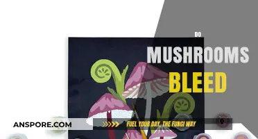 Mushroom Mystery: Do They Bleed or Not?