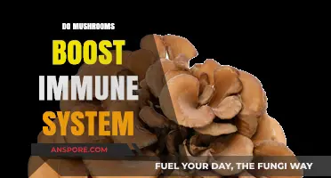 Mushrooms: Nature's Immune Booster?