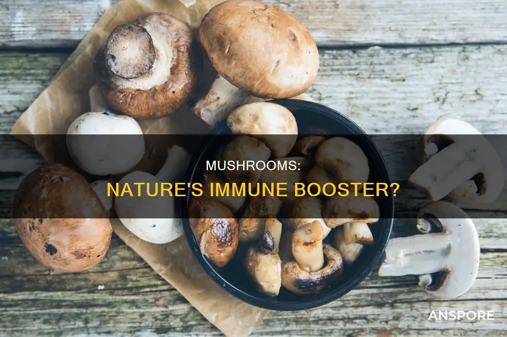 do mushrooms boost immune system