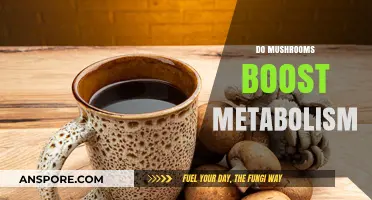 Mushrooms: Metabolism-Boosting Superfood?