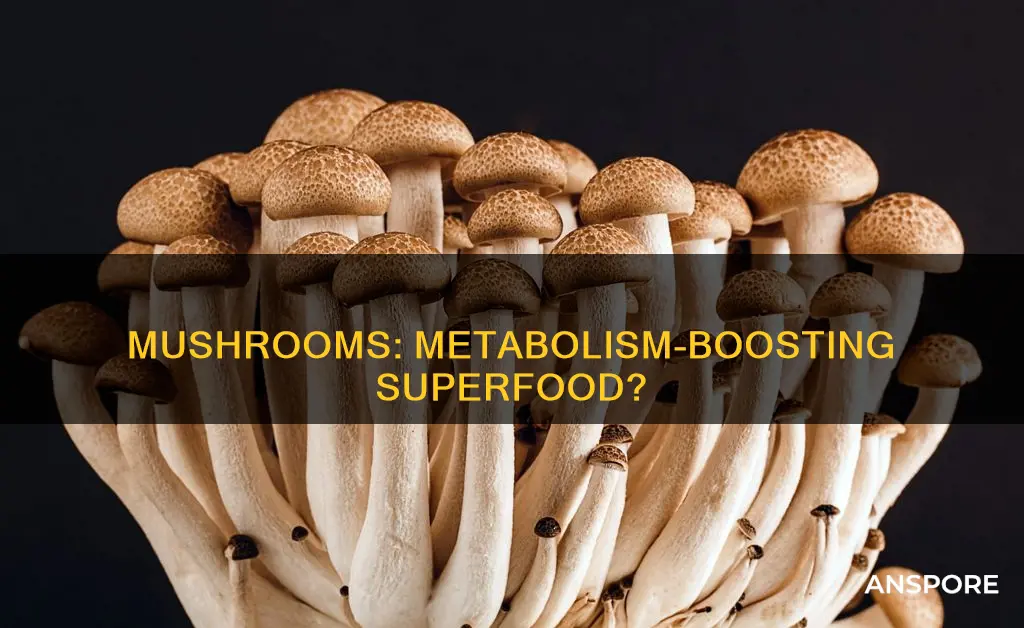 do mushrooms boost metabolism