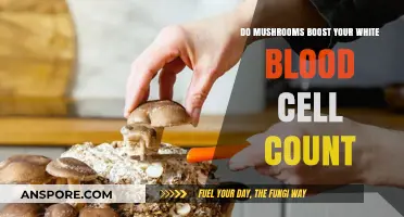 Mushrooms and Immunity: Can They Boost White Blood Cell Count?