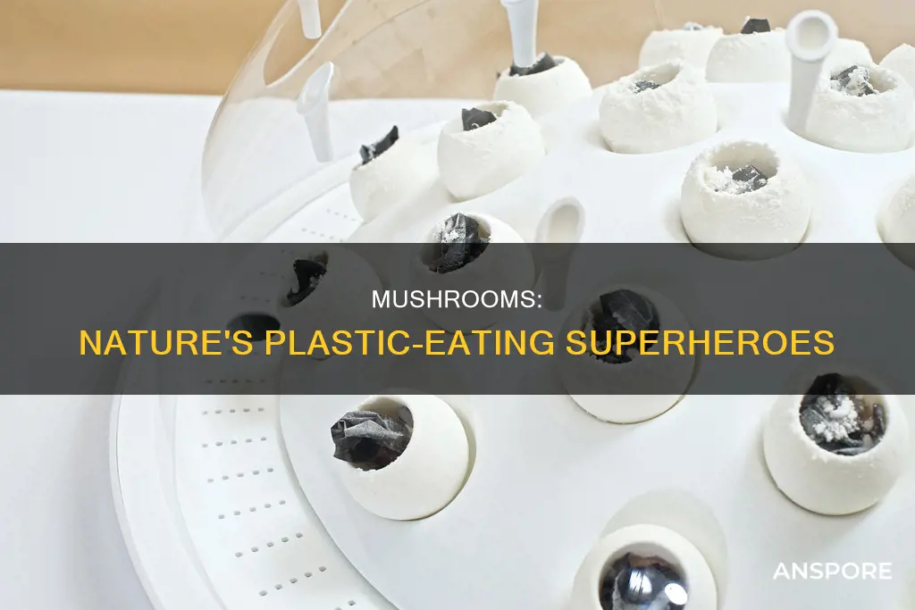do mushrooms break down plastic