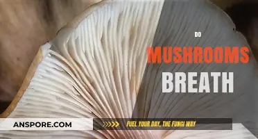 Mushrooms Breathe: A Surprising Fact About Fungi