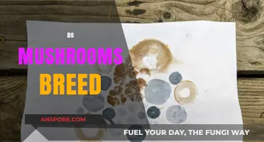 How Mushrooms Breed and Reproduce