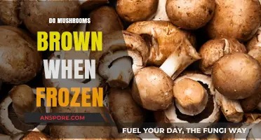 Freezing Mushrooms: Why They Turn Brown