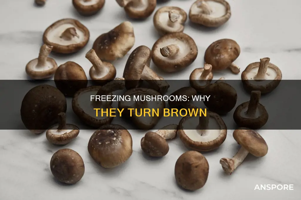 do mushrooms brown when frozen