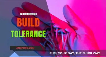 How Tolerance Develops with Mushroom Usage