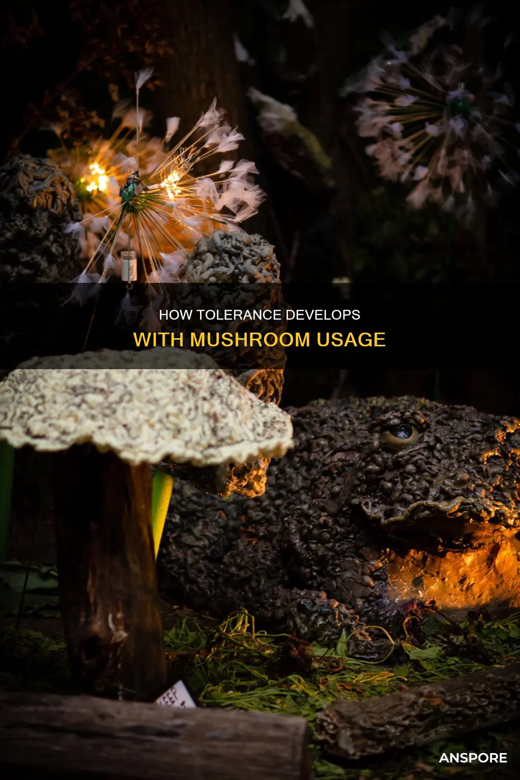 do mushrooms build tolerance