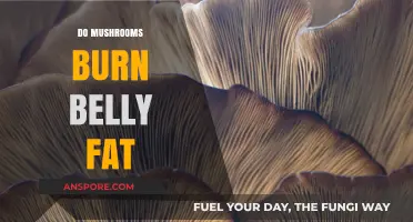 Mushrooms: Belly Fat Burning Superfood?