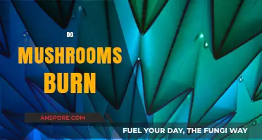 Mushrooms Burning: What You Need to Know