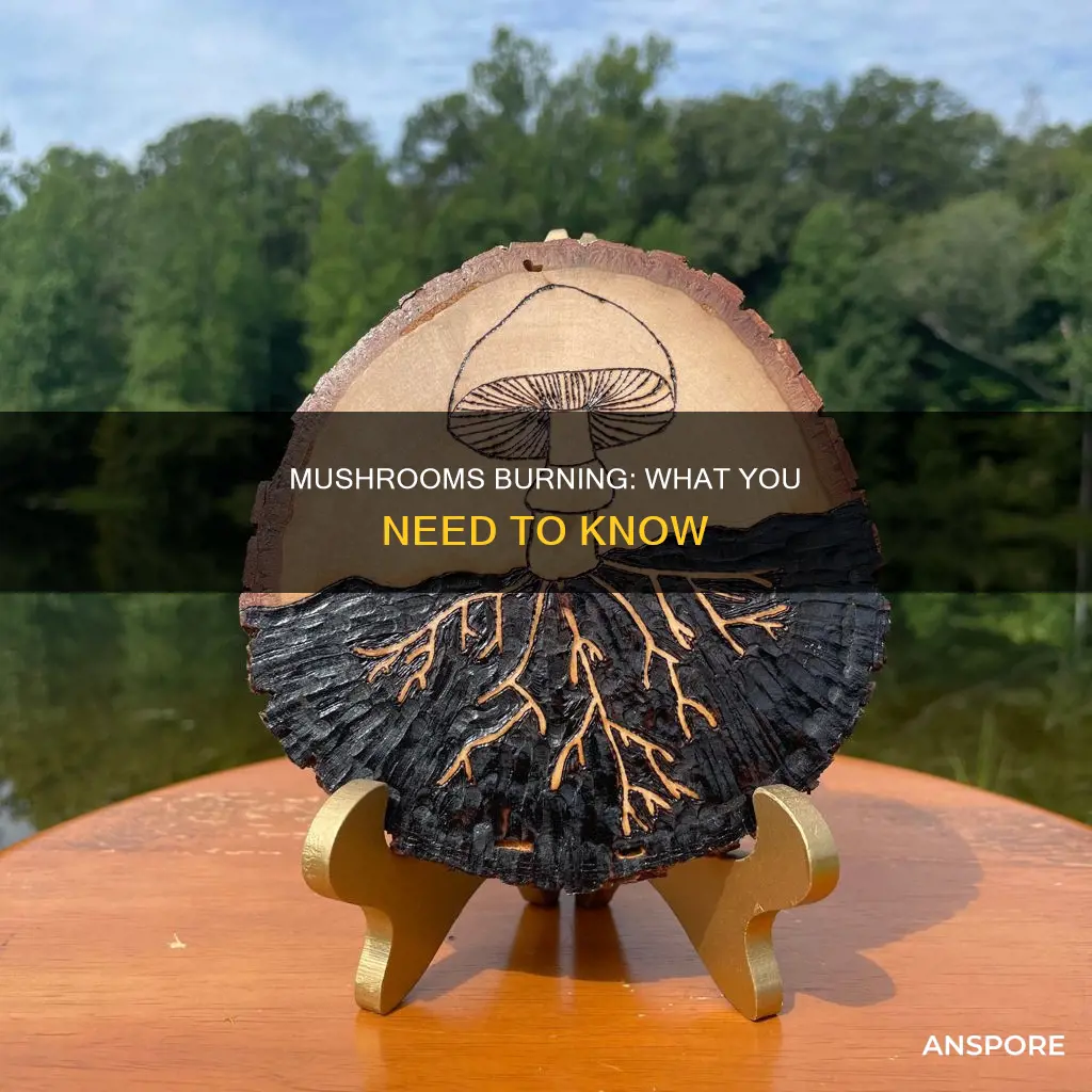 do mushrooms burn
