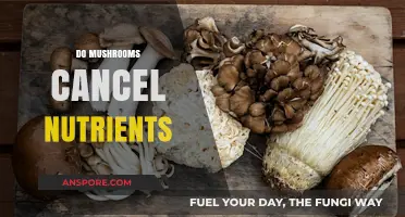 Mushrooms: Nutrient Blockers or Friends?