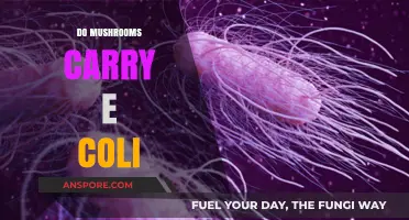Mushrooms and E. coli: What's the Risk?