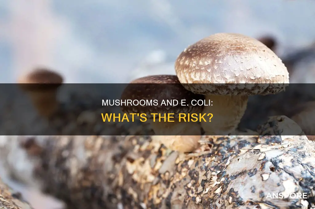 do mushrooms carry e coli