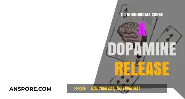 Mushrooms and Dopamine: Unveiling the Brain's Reward Connection