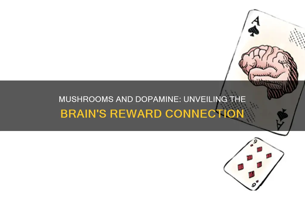 do mushrooms cause a dopamine release