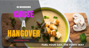 Mushroom Consumption: Hangover or Not?