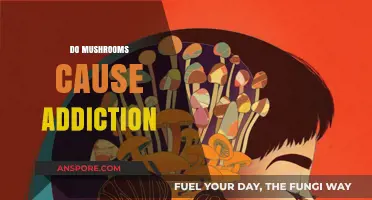 Mushrooms: Understanding Addiction Potential