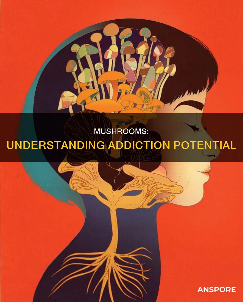do mushrooms cause addiction