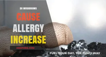 Mushrooms: Allergy Triggers or Immune Boosters?