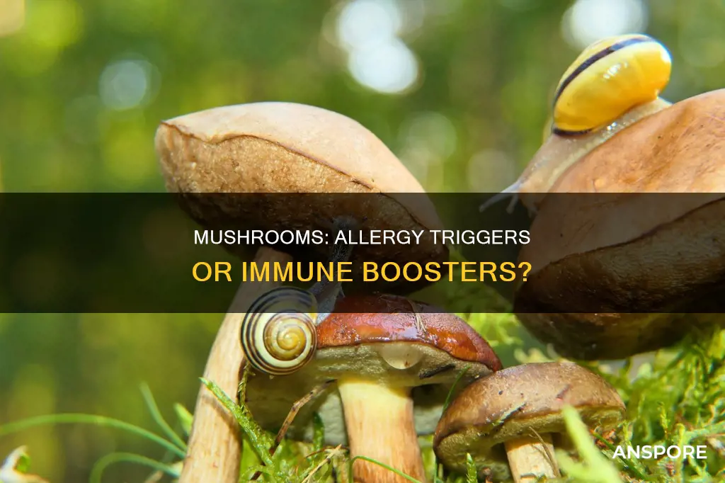do mushrooms cause allergy increase