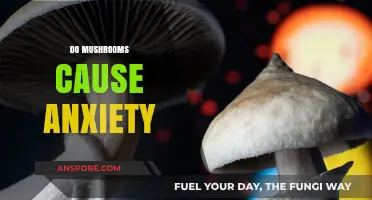 Mushrooms and Anxiety: What's the Connection?