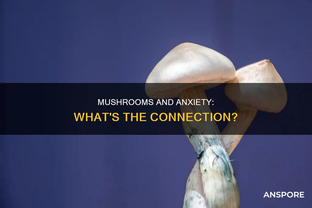 do mushrooms cause anxiety