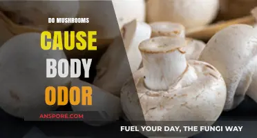 Mushrooms: The Link to Body Odor