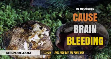 Mushrooms: Brain Bleeding Risk?