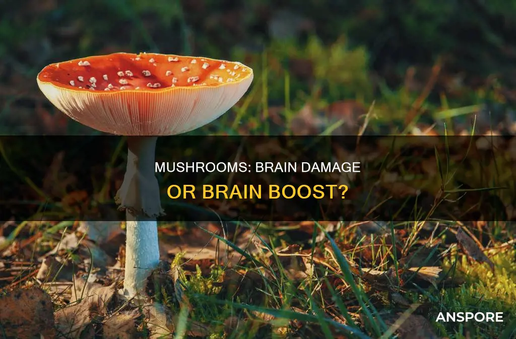 do mushrooms cause brain damage