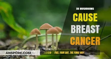 Mushrooms: Cancer-Causing or Fighting Superfood?