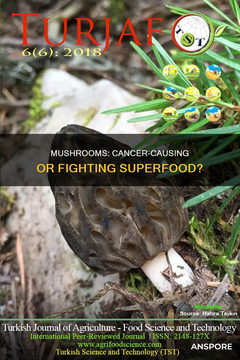 do mushrooms cause breast cancer