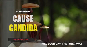 Mushrooms and Candida: A Complex Relationship