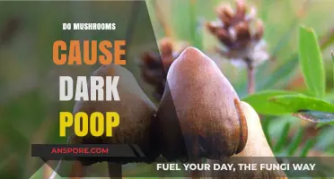 Mushrooms: Dark Poop and What It Means