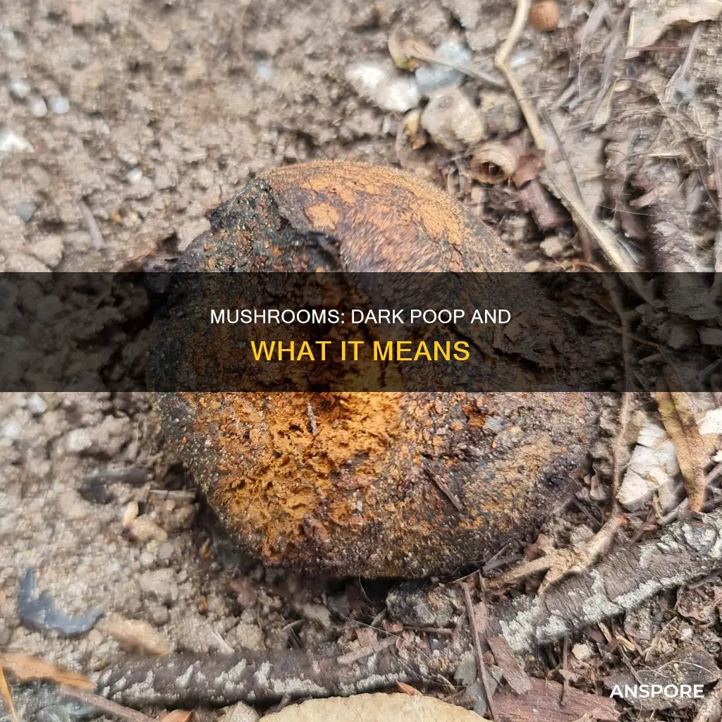 do mushrooms cause dark poop