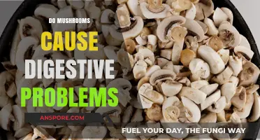 Mushrooms: Friend or Foe to Your Gut?