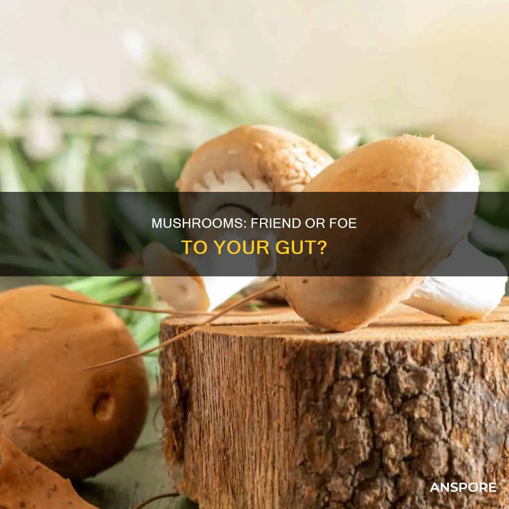 do mushrooms cause digestive problems
