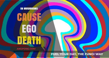 Mushrooms and Ego Death: What's the Link?