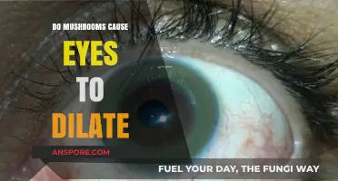 Mushrooms and Eye Dilation: Unraveling the Truth Behind the Myth
