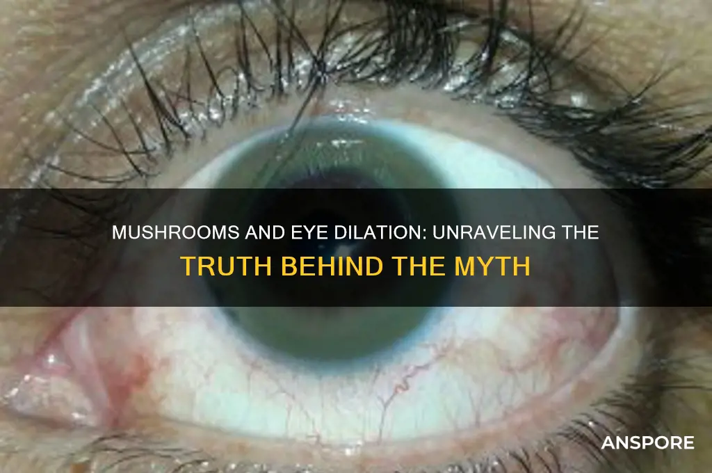do mushrooms cause eyes to dilate