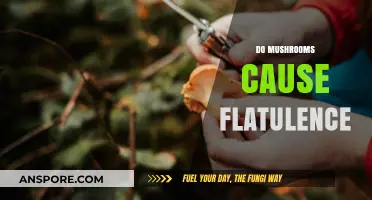 Mushrooms and Gas: What's the Deal?