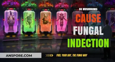 Mushrooms: Friend or Foe in Fungal Infections?