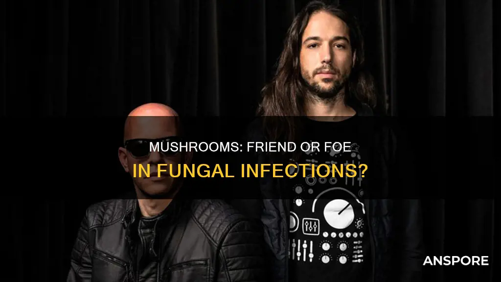 do mushrooms cause fungal indection