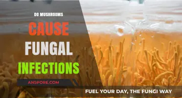 Mushrooms: Friend or Foe in Fungal Infections?